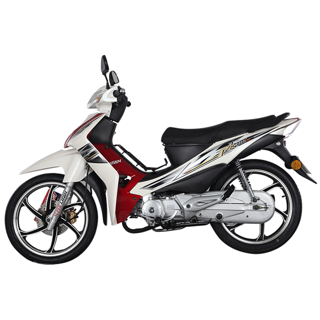 LIFAN Motocycle PK110 (LF110-26B) Noir & Blanc